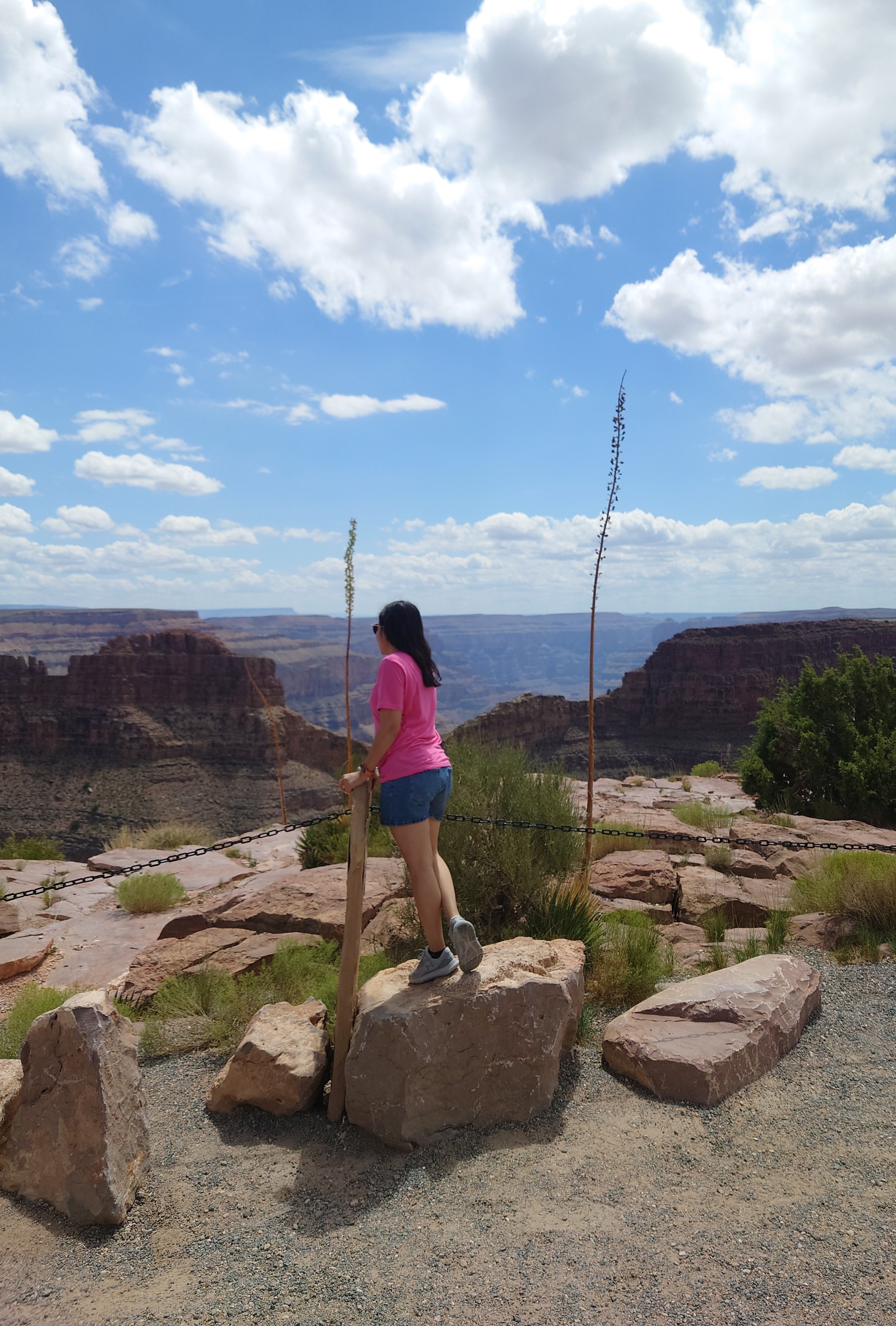 Image of Bino Kochumol Varghese
